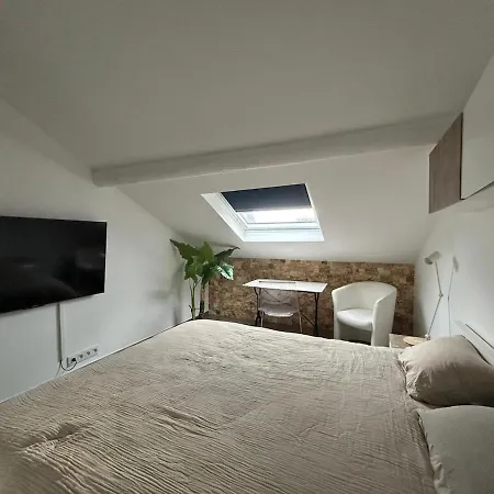 Cosy Et Lumineux A Apartment Nancy