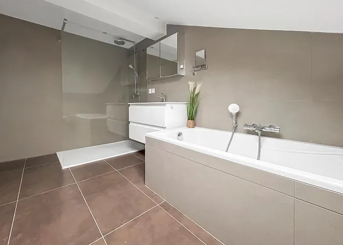 Apartment Cosy Et Lumineux A Nancy